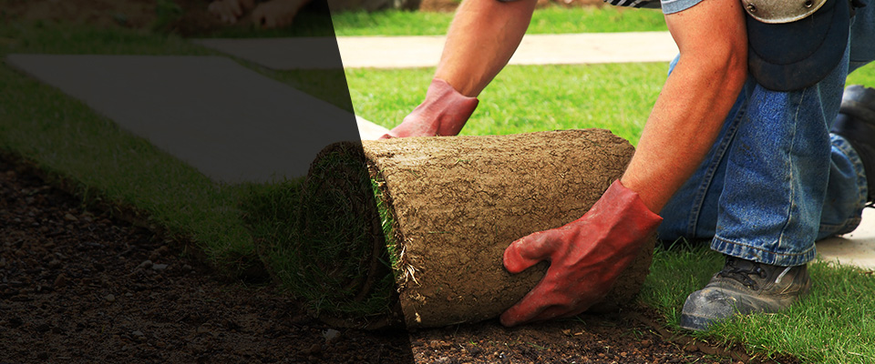 Fall City Landscapers